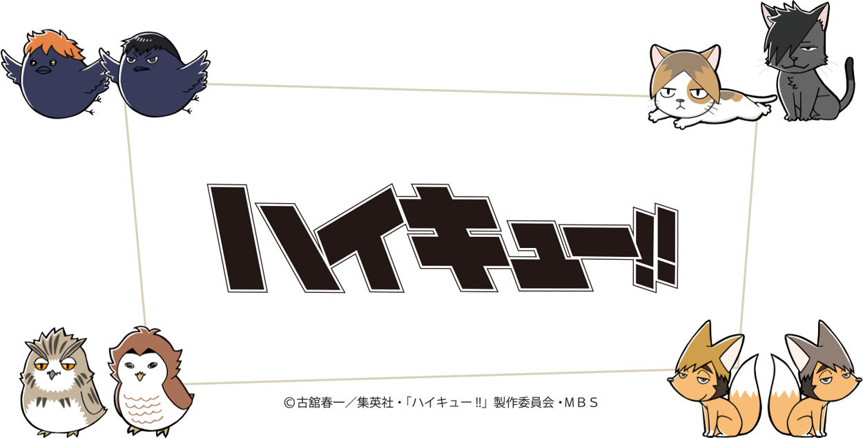 ハイキュー！！