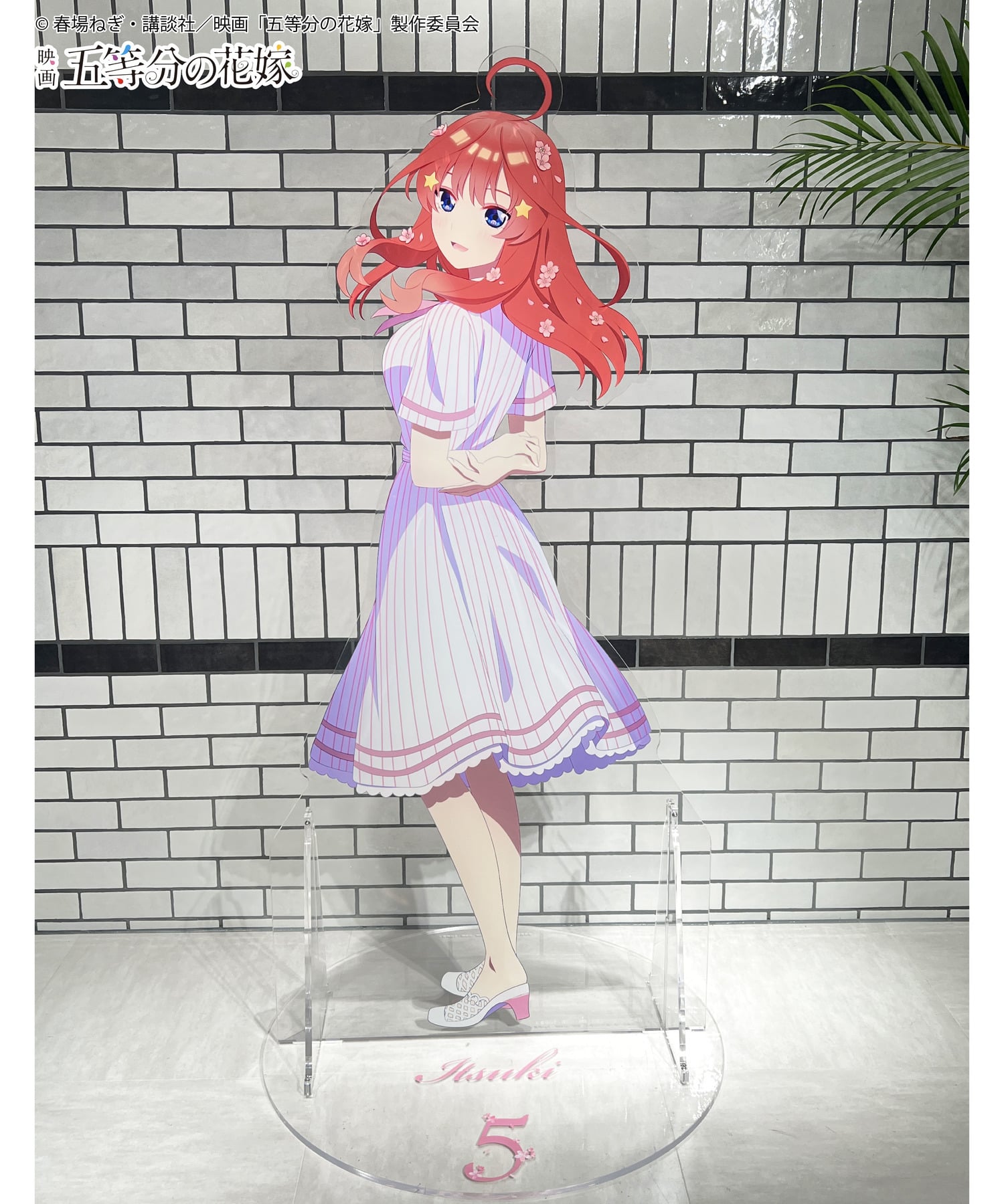 五等分の花嫁」HICUL（ハイカル）新規描きおろし等身大アクリルパネル 